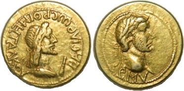 ������: 513-4293