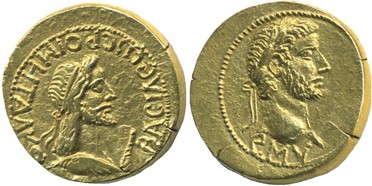 ������: 513-4293