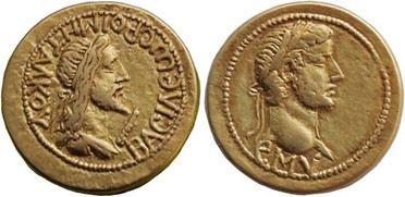 ������: 513-4293