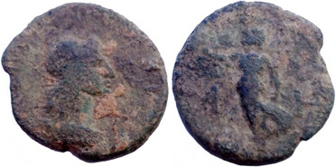 ������: 520-4891