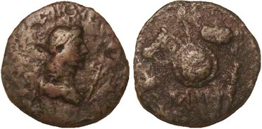 ������: 523-4379