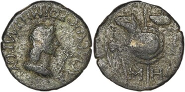 ������: 523-4379