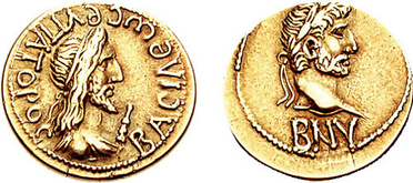 ������: 531-4235