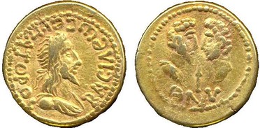������: 538-5124