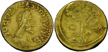 ������: 539-4252