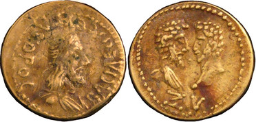 ������: 539-4327