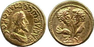 ������: 539-4733