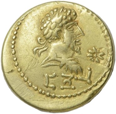 ������: 545-4966