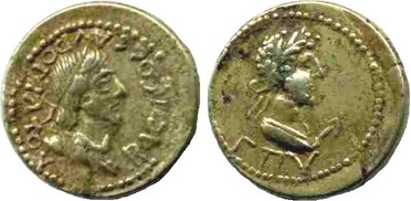 ������: 564-4229