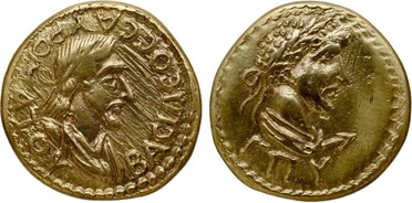 ������: 564-4229