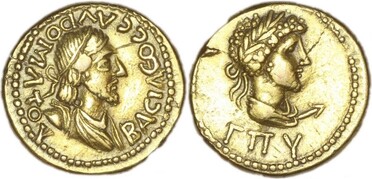 ������: 564-4229