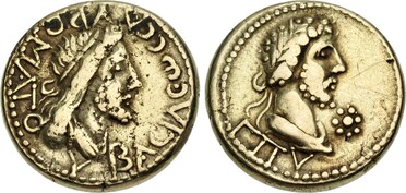 ������: 564-4465