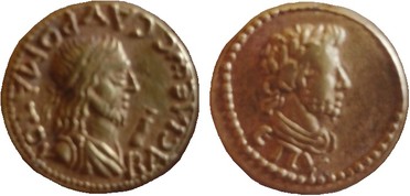 ������: 566-4397