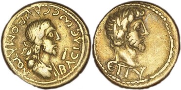 ������: 566-4397