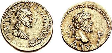 ������: 575-4310