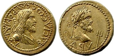 ������: 575-4310