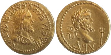 ������: 575-4310