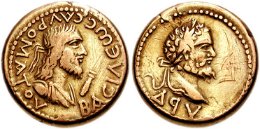 ������: 575-4433