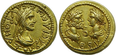 ������: 576-4205