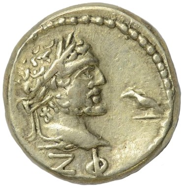 ������: 586-4775