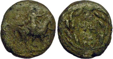 ������: 592-4041