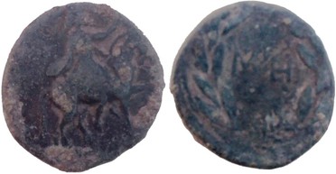 ������: 592-4041