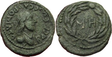 ������: 594-4565