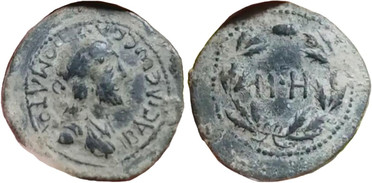 ������: 594-4565