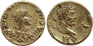 ������: 628-4286