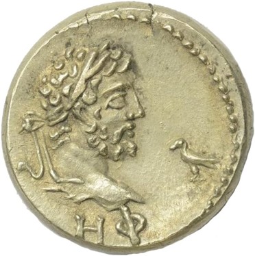 ������: 628-4286