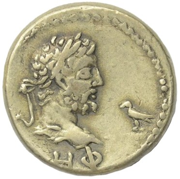 ������: 628-4286