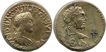 ������: 629-4284