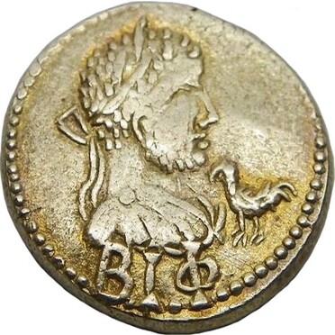 ������: 632-5278