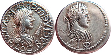 ������: 634-4073