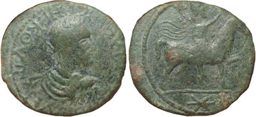 ������: 645-4045