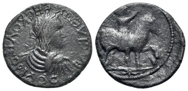 ������: 645-4045