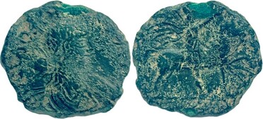 ������: 645-4045