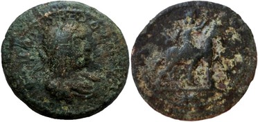 ������: 645-4160