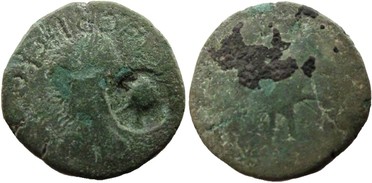 ������: 645-5157