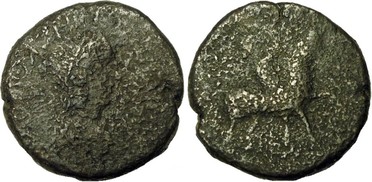 ������: 645-5157