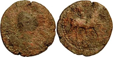 ������: 645-5157