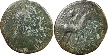 ������: 645-5157