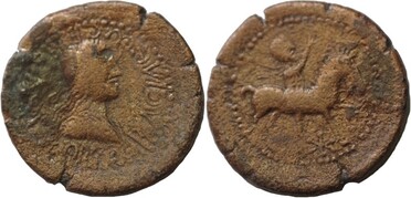 ������: 645-5157