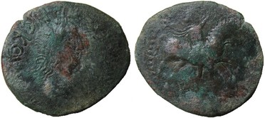 ������: 645-5157