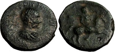 ������: 646-4499