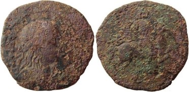 ������: 646-4499