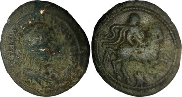 ������: 646-4499