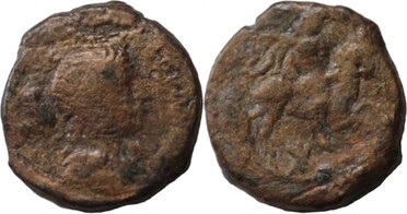 ������: 646-4499