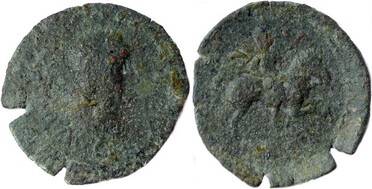 ������: 646-5244