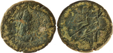 ������: 649-5200